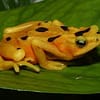 Panama celebrated the golden frog on Tuesday (August 14). A golden frog rests on a leaf.