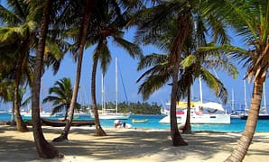 'Yachts anchored in the San Blas off the coast of Panama in the Caribbean' Jeremy Wyatt