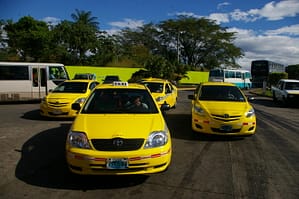 All Taxis in Panama must be yellow in color