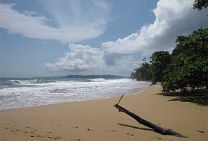 Beautiful Sandy beach in Bocas Del Toro, Panama